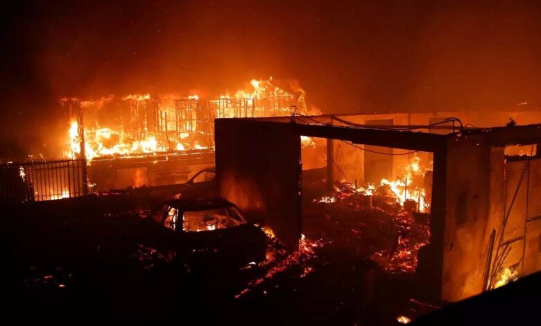 INTERNATIONAL NEWS: चिली के जंगलों में भीषण आग से मची तबाही,  10 की मौत