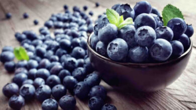 Benefits of Blueberries: रोजाना खाएं ब्लूबेरी, मिलेंगे ऐसे फायदे कि आप भी रह जाएंगे हैरान