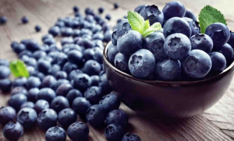Benefits of Blueberries: रोजाना खाएं ब्लूबेरी, मिलेंगे ऐसे फायदे कि आप भी रह जाएंगे हैरान