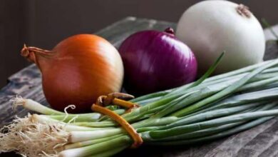 Onion Benefits:गर्मियों में इन वजहों से बेहद फायदेमंद है प्याज