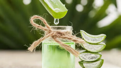 Aloe Vera Juice Benefits: ऐलोवेरा जूस पीने से मिलेंगे ये 5 हैरान करने वाले फायदे