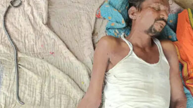 MP NEWS: घर के बाहर सोए युवक की सर्पदंश से मौत