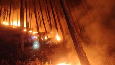 लॉस एंजिल्स के जंगलों में लगी भयानक आग