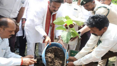 “एक पेड़ माँ के नाम” अभियान पर्यावरण संरक्षण की दिशा में बड़ा कदम: उप-मुख्यमंत्री शुक्ल