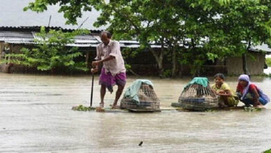 असम में बाढ़ से अब तक 46 लोगों की मौत
