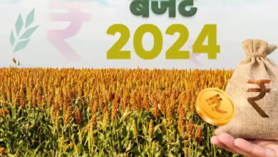 PM Kisan Yojana Budget 2024: नहीं बढ़ी पीएम किसान योजना की राशि, पर इतने है लाभार्थी