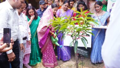 महिला एवं बाल विकास विभाग की ओर से छत्तीसगढ़ में लगेंगे 3 लाख पौधे : मंत्री लक्ष्मी राजवाड़े