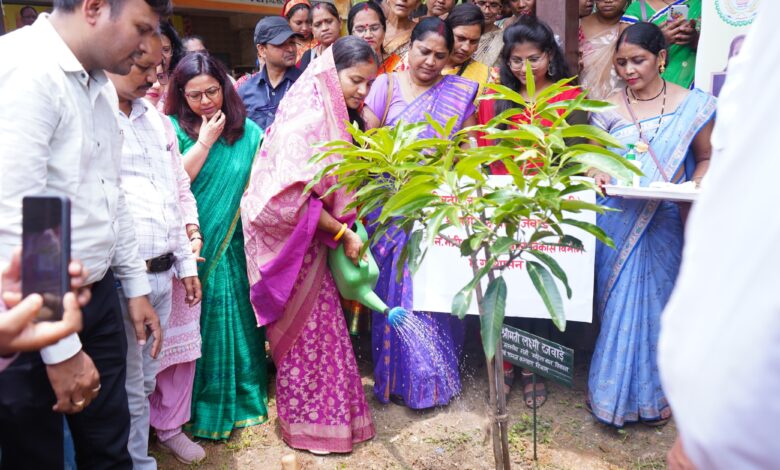 महिला एवं बाल विकास विभाग की ओर से छत्तीसगढ़ में लगेंगे 3 लाख पौधे : मंत्री लक्ष्मी राजवाड़े