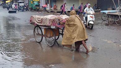 मध्‍यप्रदेश में फिर बरसेगा मानसून, जबलपुर समेत आठ जिलों में आज तेज बारिश का अलर्ट