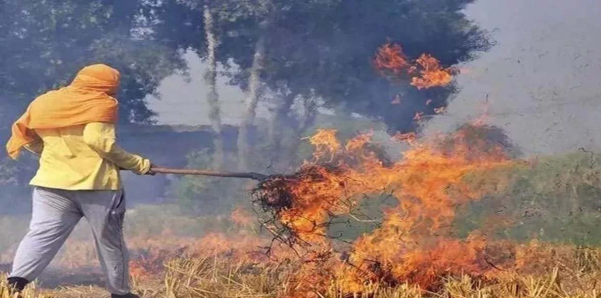 पंजाब में पराली जलाने वालों को भरना होगा जुर्माना