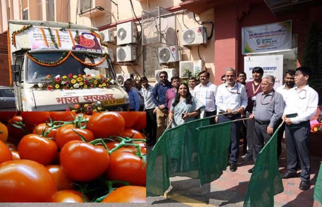 केंद्र ने दिल्ली-एनसीआर में 65 रुपये प्रति किलो के भाव पर टमाटर बेचना शुरू किया