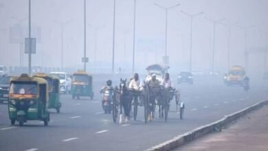 मध्‍य प्रदेश में मौसम के दो रंग, सुबह ठंडी और दिन में हो रही गर्मी, 15 नवंबर के बाद बढ़ेगी सर्दी