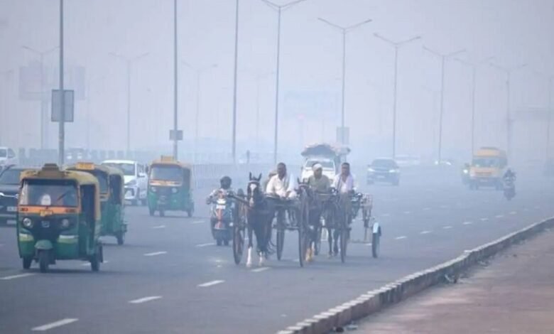 मध्‍य प्रदेश में मौसम के दो रंग, सुबह ठंडी और दिन में हो रही गर्मी, 15 नवंबर के बाद बढ़ेगी सर्दी